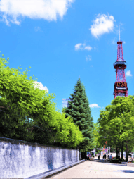 道の画像